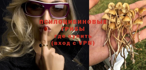 ALPHA-PVP Аркадак