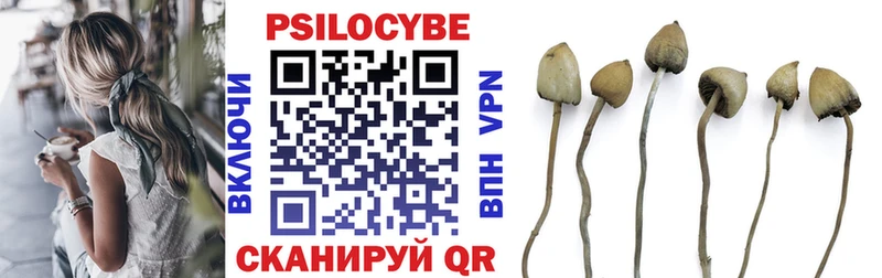 Псилоцибиновые грибы мухоморы  мега маркетплейс  Фурманов 